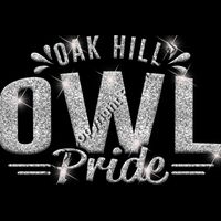 GLT62 SILVER GLITTER Thumbnail