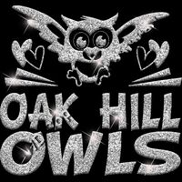 GLT88 SILVER GLITTER Thumbnail