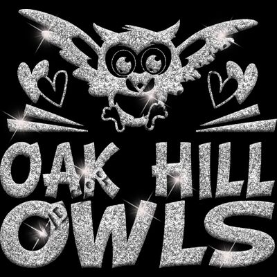 GLT88 SILVER GLITTER Thumbnail