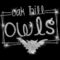 GLT90 SILVER GLITTER Thumbnail