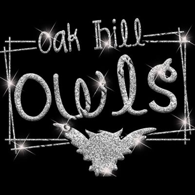 GLT90 SILVER GLITTER Thumbnail