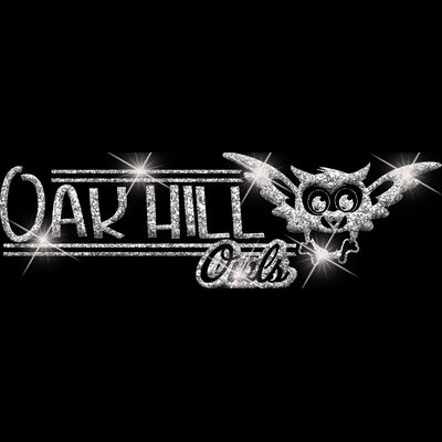 GLT101 SILVER GLITTER Thumbnail