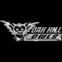 GLT102 SILVER GLITTER Thumbnail