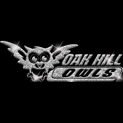 GLT102 SILVER GLITTER Thumbnail