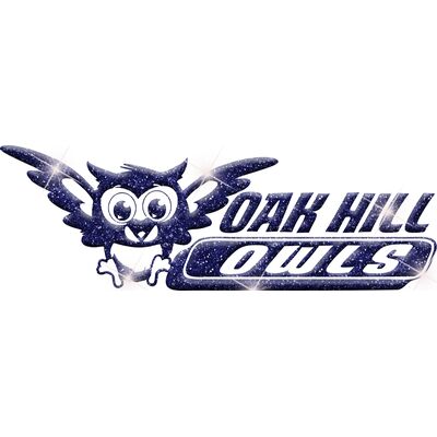 GLT102 BLUE GLITTER Thumbnail